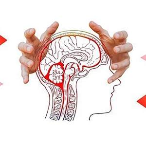 ٢٠ خبر مهم علوم اعصابي سال ٢٠١٧ از ديدگاه سایت neurosciencenews